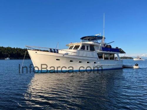Ocean Alexander 50 scheda tecnica e recensioni